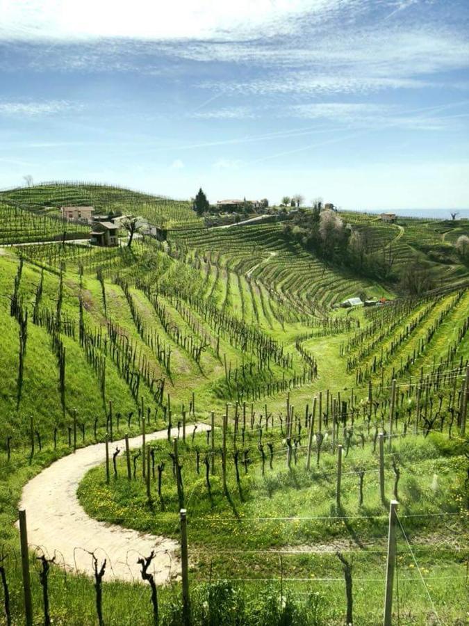Locazione Turistica Gravetta Tarzo Exterior foto